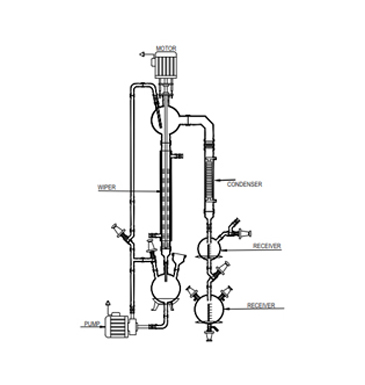 Wiped film evaporator