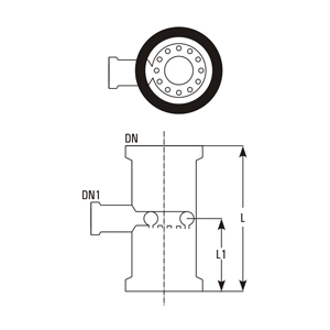 Spray feed section – flanged pipe with circular tube and holes at bottom, dimensions DN, DN1, L, L1